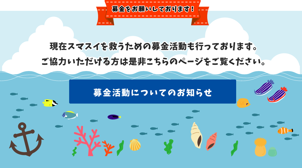 募金活動についてのお知らせ